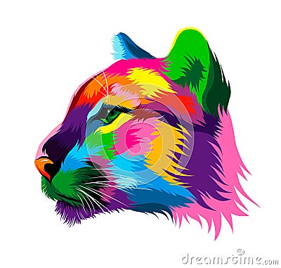 Abstract puma, cougar head portrait from multicolored paints. Colored drawing Vector Illustration