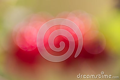 Abstract red and green circular bokeh background Stock Photo