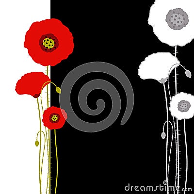 Abstract red poppy on black and white background Vector Illustration