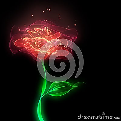 Abstract rose flower Stock Photo