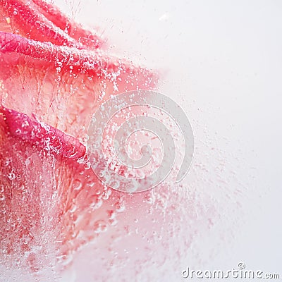 Abstract rose in ice Stock Photo