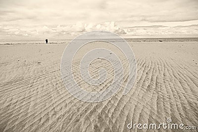 Abstract sand texture by low tide beach scenery with couple and dog, monochrome image Stock Photo