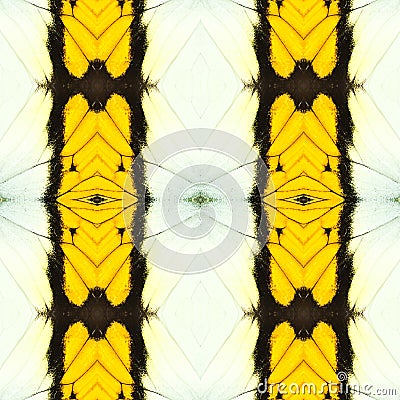 abstract seamless butterfly wing pattern Stock Photo