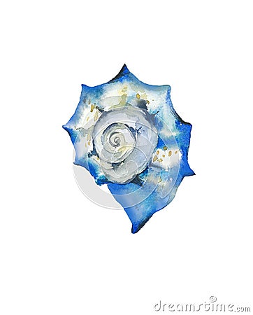 Blue seashell. Sea creature. Ocean life. Watercolour illustration isolated on white background. Cartoon Illustration