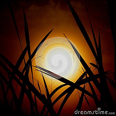 Abstract silhouette figure with sunrise Stock Photo