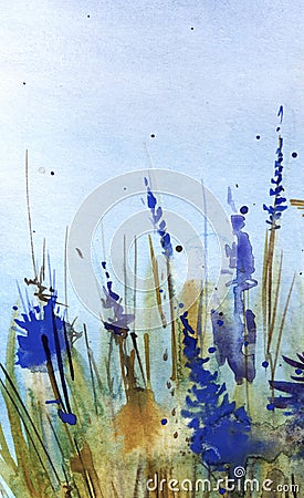Abstract sketchy watercolor background. Field grass, flowers. Stalks, ears of dry grass. Bright blue flowers Muscari. Gently blue Cartoon Illustration