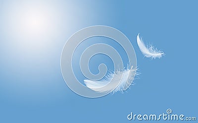 Abstract Softness of White Bird Feather Floating in Blue Sky. Feathers Flying in Heavenly. Stock Photo