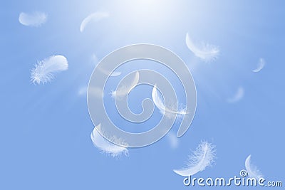 Abstract Softness of White Bird Feathers Floating in Blue Sky. Feathers Flying in Heavenly. Stock Photo