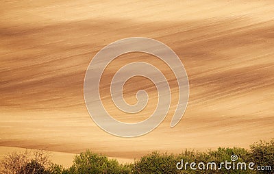 Abstract spring landscape in South Moravia with yellow fields Stock Photo