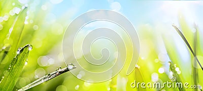 Abstract spring Nature background Stock Photo