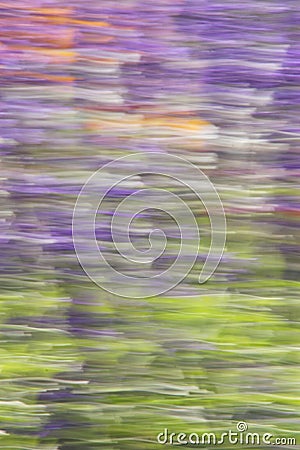 Abstract Summer Nature Background - Stock Photos Stock Photo