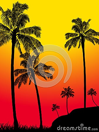 Abstract summer tropical palm trees forest silhouette Vector Illustration