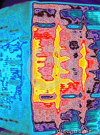 Deconstruktivist Type Setting Abstraction Stock Photo