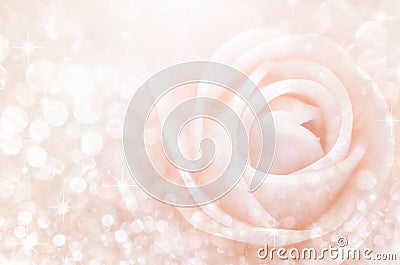 Abstract. Sweet color roses in bokeh texture soft blur. Stock Photo