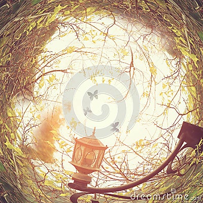 abstract swirled background of antique street lantern among tree branches and butterflies at sunset light Stock Photo