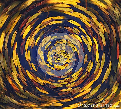 abstract swirled background of nature Stock Photo