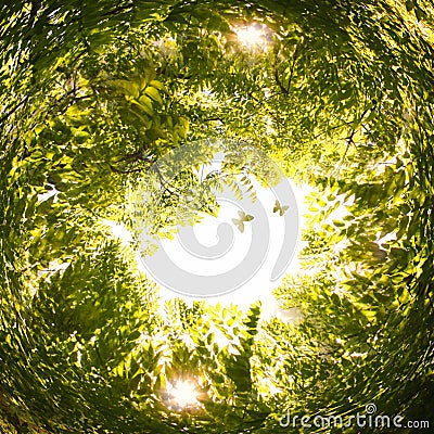 abstract swirled background of nature. Stock Photo