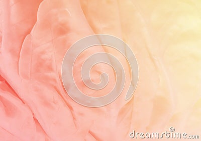 Abstract texture of cabbage Stock Photo