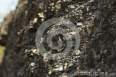Abstract texture. Mysterious stranger background. Stone wall. Rock texture. Stone background. Cracked lava surface. Rock surface w Stock Photo