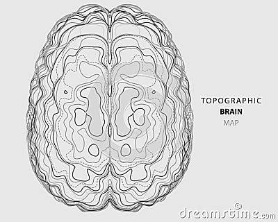 Abstract topographic map of human brain. Conceptual of creative and artificial intelligence. Futuristic forms of lines brain Vector Illustration