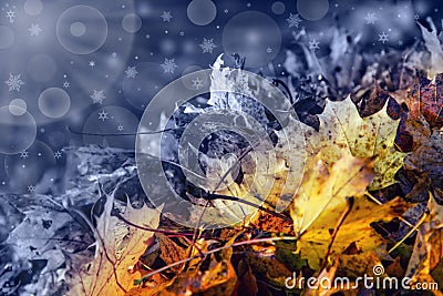 Abstract transition from autumn to winter time. Stock Photo