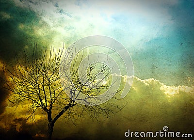 Abstract tree Cartoon Illustration