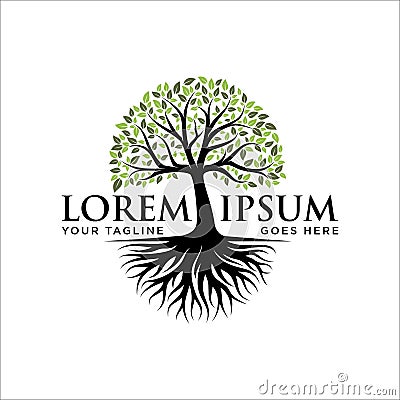 Abstract tree logo design, root vector - Tree of life logo design inspiration Vector Illustration