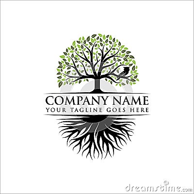 Abstract tree logo design, root vector - Tree of life logo design inspiration Vector Illustration