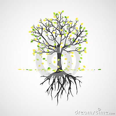 Abstract tree with roots. Plant in Garden Vector Illustration