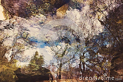 Abstract trees reflection on rippled water Stock Photo