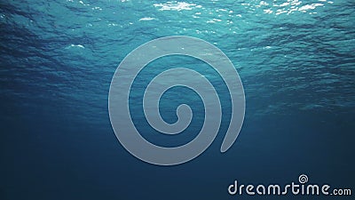 Abstract underwater scene sunrays and air bubbles in deep sea. Abstract underwater scene sunrays and air bubbles in deep blue sea stock footage Abstract underwater scene sunrays and air bubbles in deep sea. Abstract underwater scene sunrays and air bubbles in deep blue sea stock footage