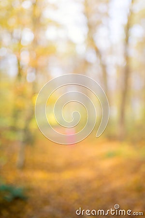 Abstract unfocused and soft background for design. Path in the woods. Magical autumn forest with blur technique Stock Photo