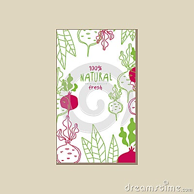 Abstract vector card or banner with juicy beets. Fresh vegetable. Organic and healthy food. Vegetarian nutrition Vector Illustration