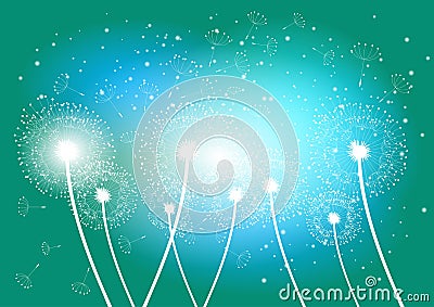 Abstract vector dandelion Vector Illustration