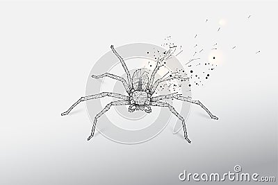 Abstract vector illustration of spider Vector Illustration