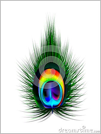 Abstract Vector Peacock Feather Vector Illustration