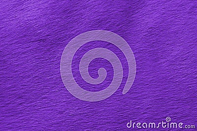 Abstract view of the horse`s wool toned in the color of the year Stock Photo