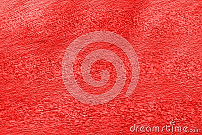 Abstract view of the horse`s wool toned in the color of the year Stock Photo