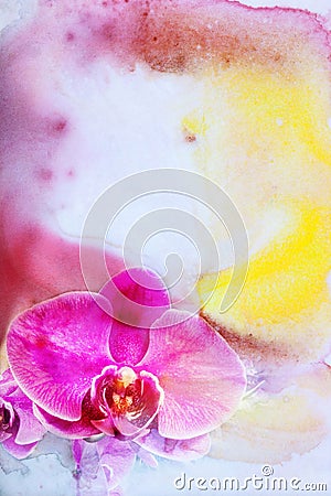 Abstract watercolor illustration of blossom phalaenopsis orchid. Cartoon Illustration