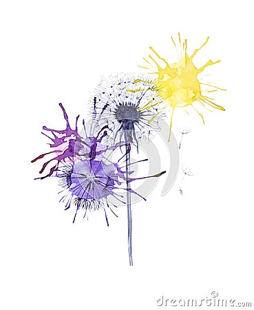 Abstract watercolor illustration of bright multicolor dandelions isolated on white background Cartoon Illustration