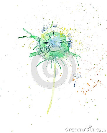 Abstract watercolor illustration of bright multicolor dandelions isolated on white background Cartoon Illustration