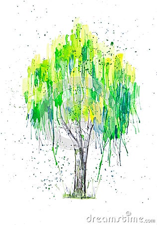 Abstract watercolor illustration of green Russian birch tree with splashis isolated on white background. Hand painted on paper Cartoon Illustration