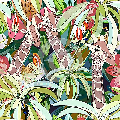 Abstract watercolor illustration of three giraffes, background tropical forest Cartoon Illustration