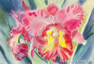 Abstract watercolor original painting pink red color of orchid flower Stock Photo