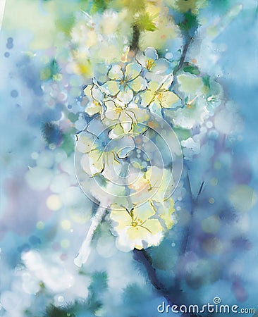 Abstract watercolor painting white Apricot tree flower Stock Photo