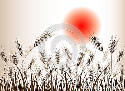 Abstract wheat background Vector Illustration