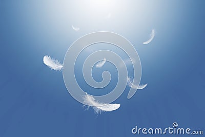 Abstract White Bird Feathers Floating in A Blue Sky. Freedom, Feather Softness, Falling White Feathers Stock Photo