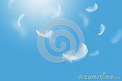 Abstract White Bird Feathers Floating in A Blue Sky. Softness of Feathers Falling in Heavenly. Stock Photo