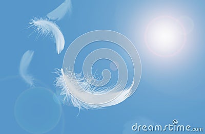 Abstract White Bird Feathers Floating in A Blue Sky. Softness of Feathers Falling in Heavenly Stock Photo