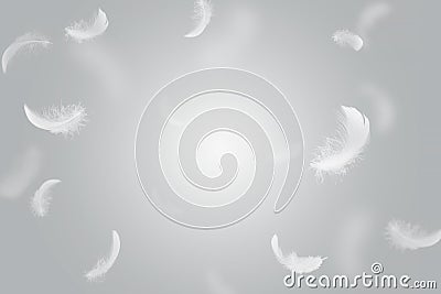 Abstract White Bird Feathers Floating in The Sky. Freedom, Feather Softness, Falling White Feathers. Stock Photo